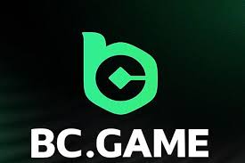 Explore the Excitement of Casino BC Game A Comprehensive Guide