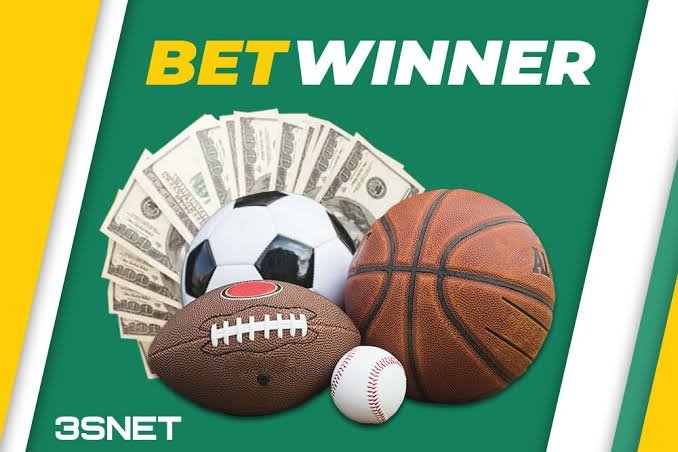 Exploring the BetWinner Senegal App Your Ultimate Betting Companion